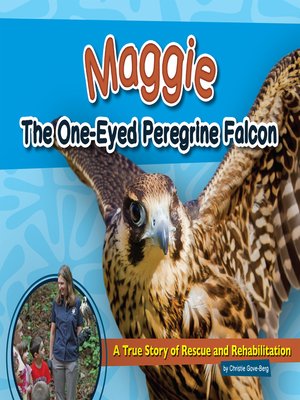 cover image of Maggie the One-Eyed Peregrine Falcon